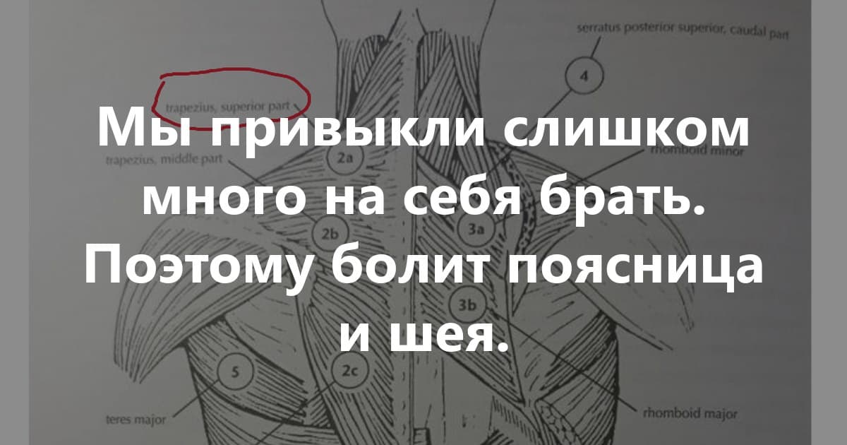Мы привыкли слишком много на себя брать. Поэтому болит поясница и шея.