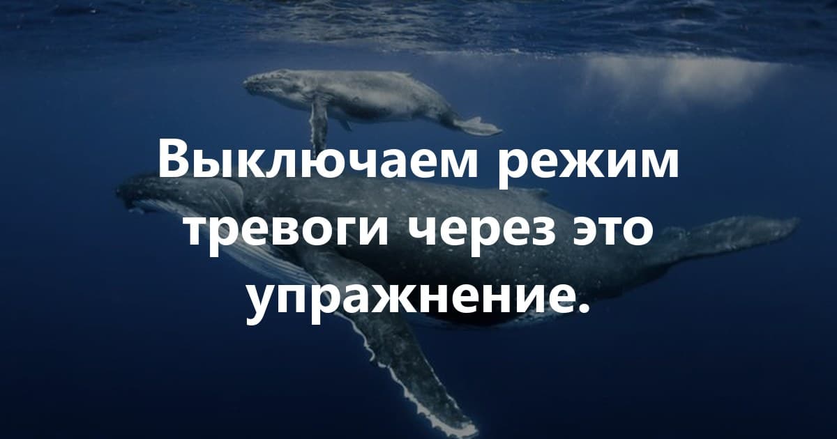 Упражнение на осознанное переключение нервной системы в парасимпатическую (восстановительную) фазу.