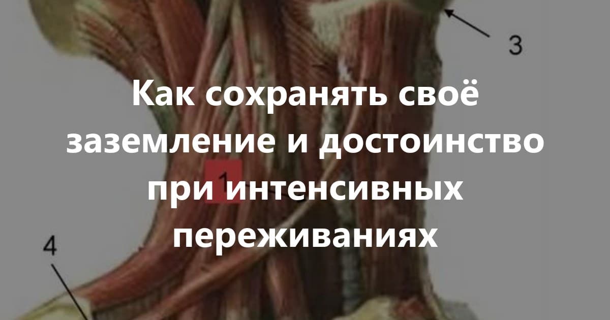 Психосоматика лопаточно-подъязычной мышцы