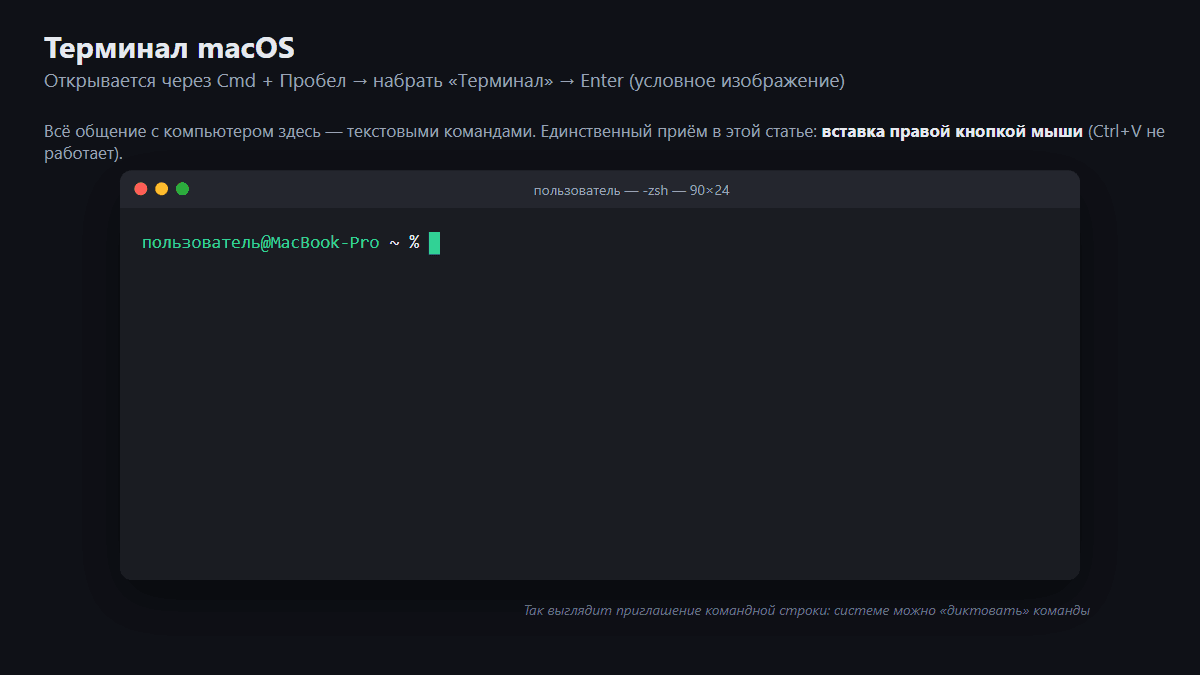 Так выглядит терминал macOS после открытия (условное изображение)
